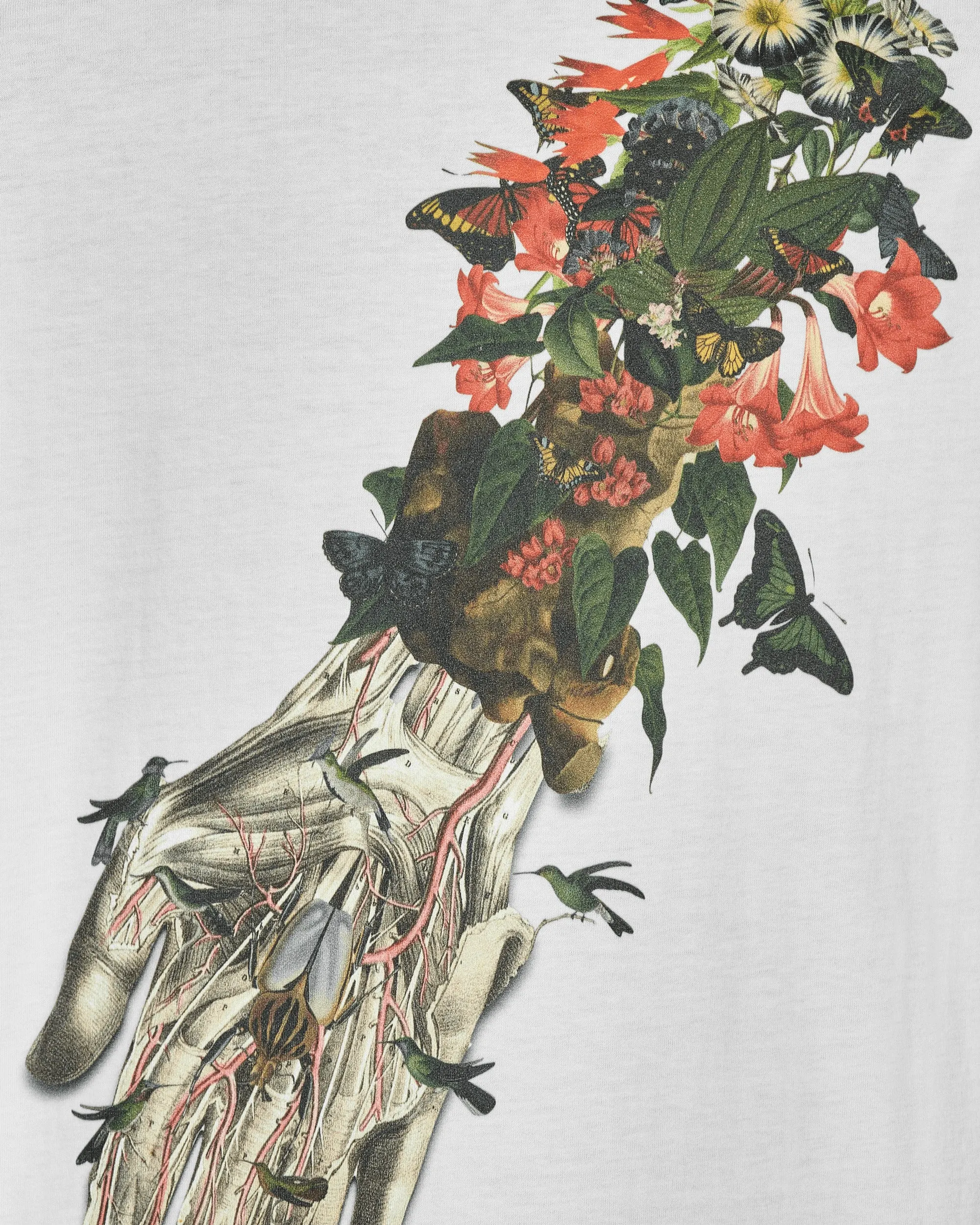 T-shirt graphique Bedelgeuse Blanc