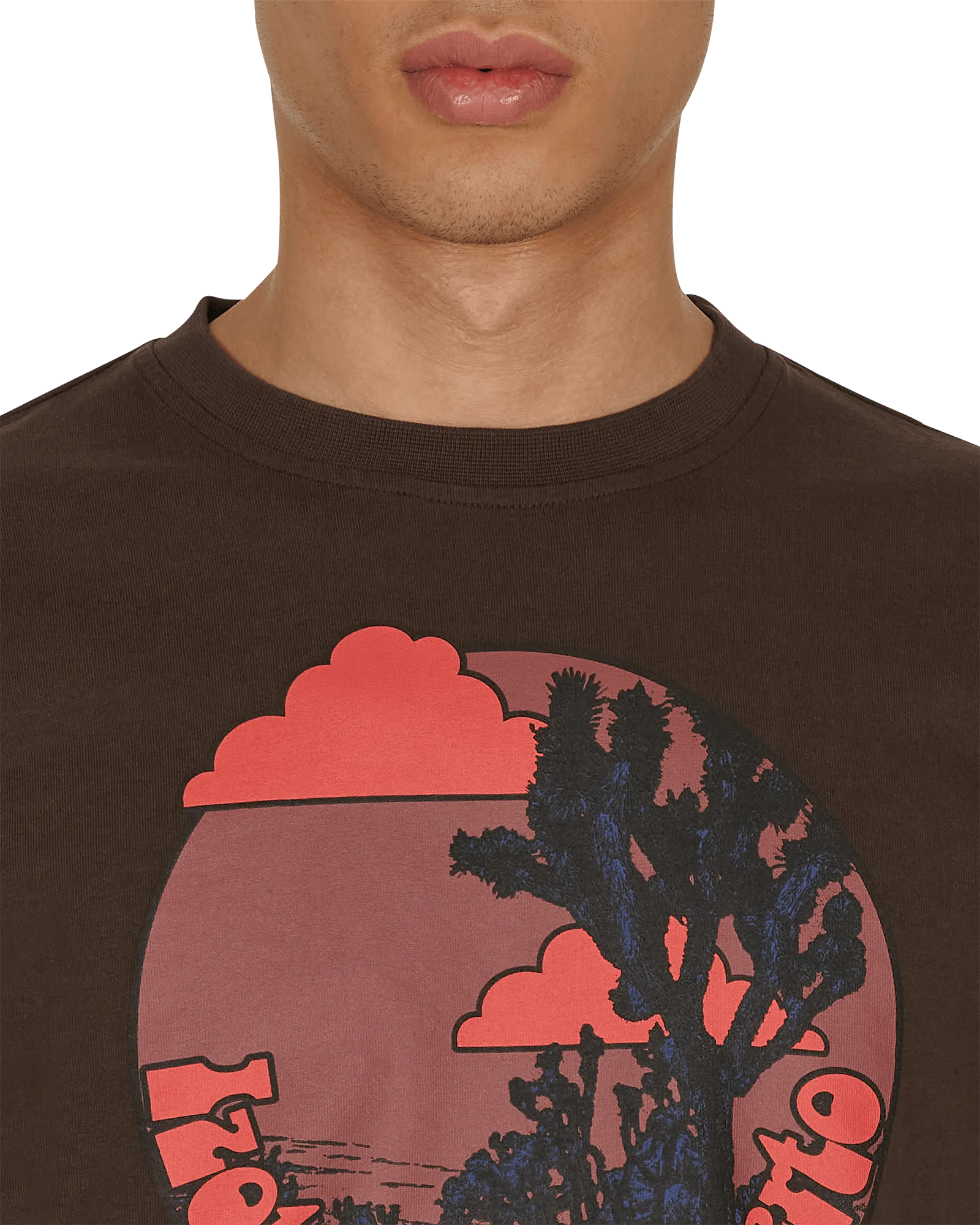 T-shirt Desert Dagger Marron