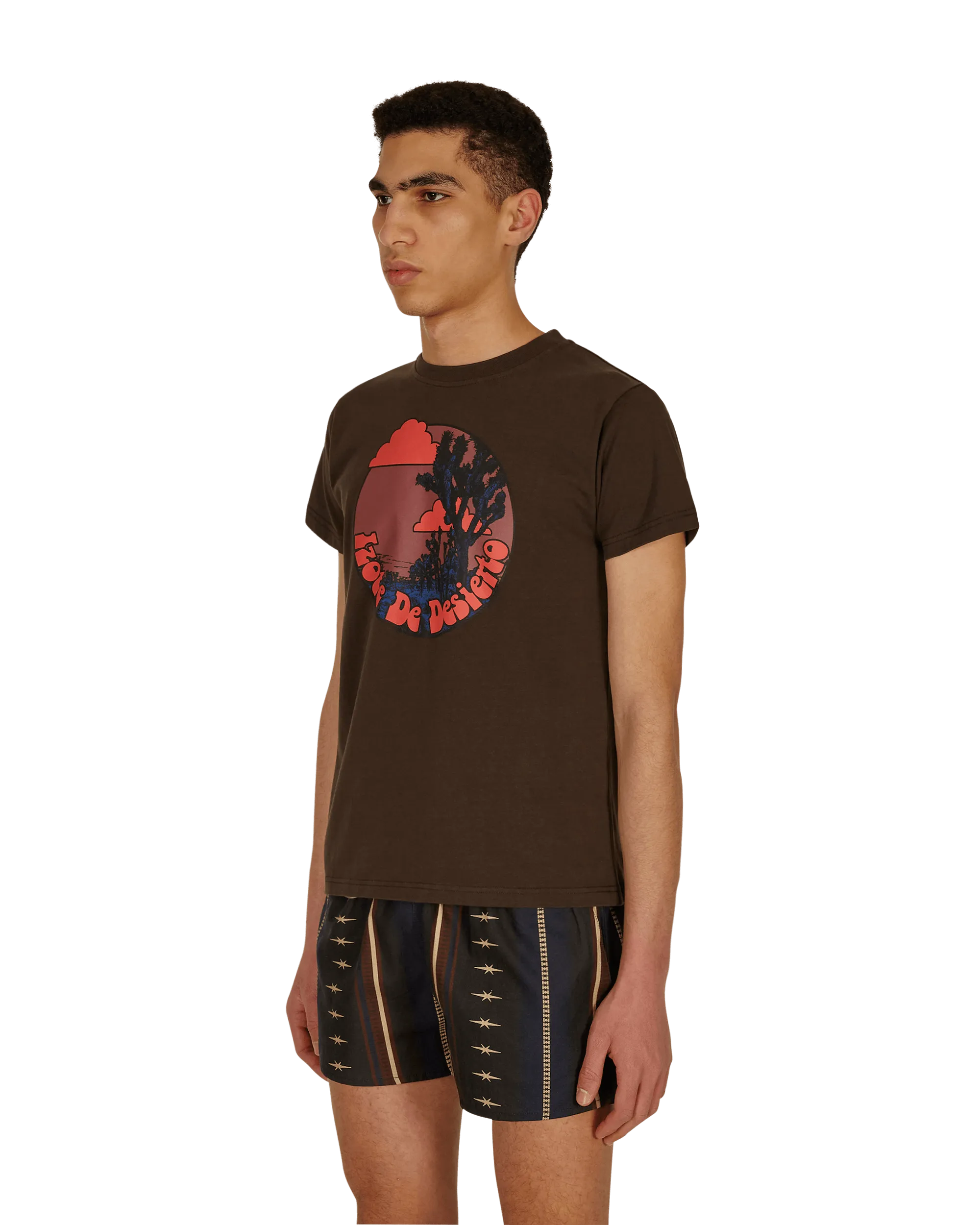T-shirt Desert Dagger Marron