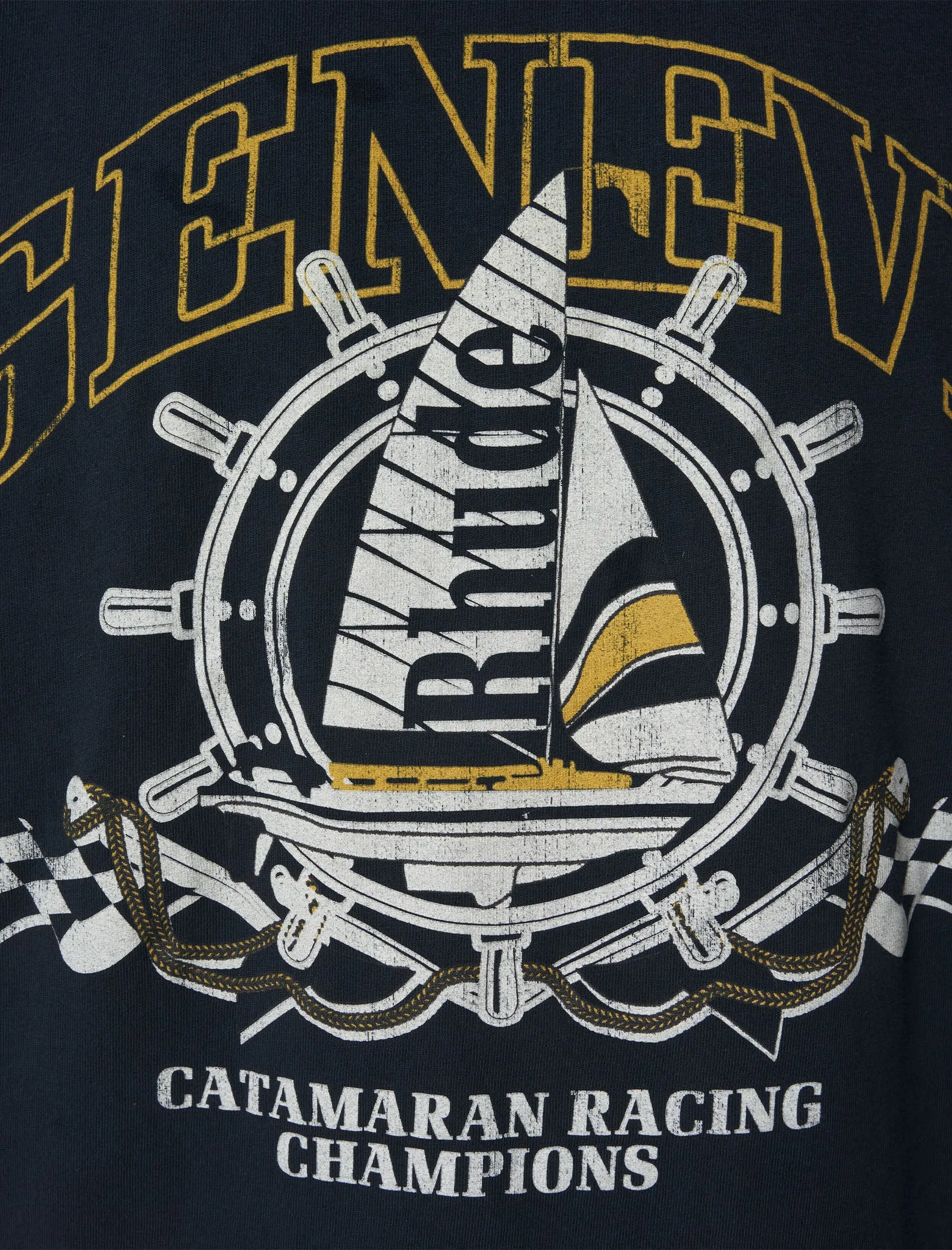 TEE CATAMARAN GENÈVE