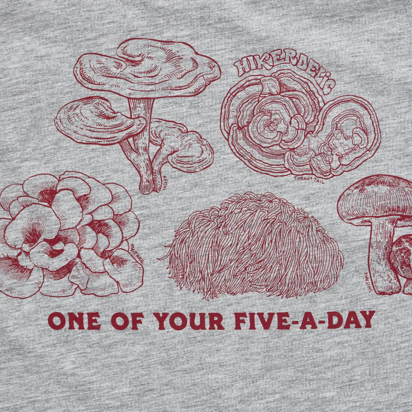 T-shirt manches courtes Hikerdelic 5 par jour gris marbré