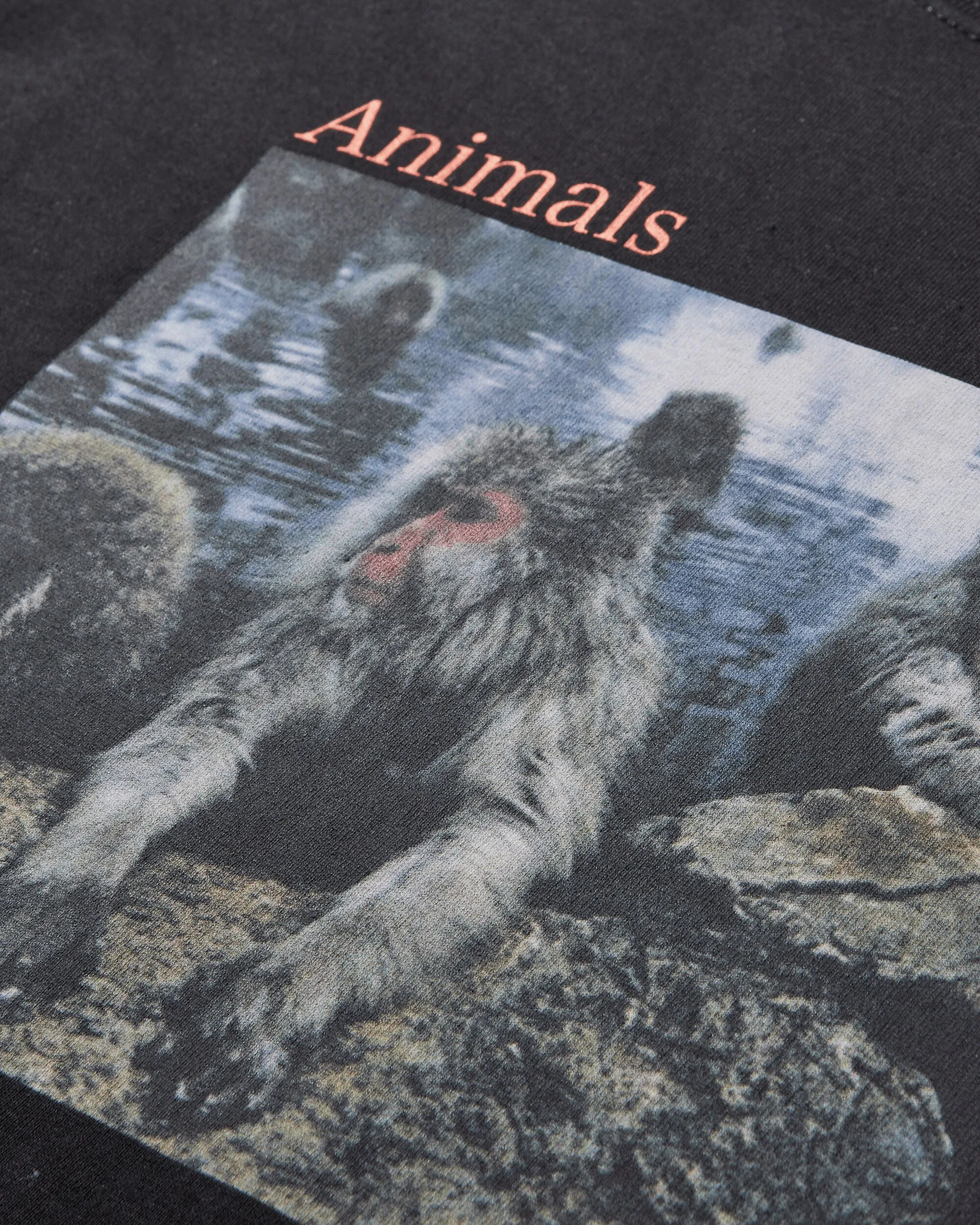 T-shirt Homme Animaux Sont des Personnes Noir