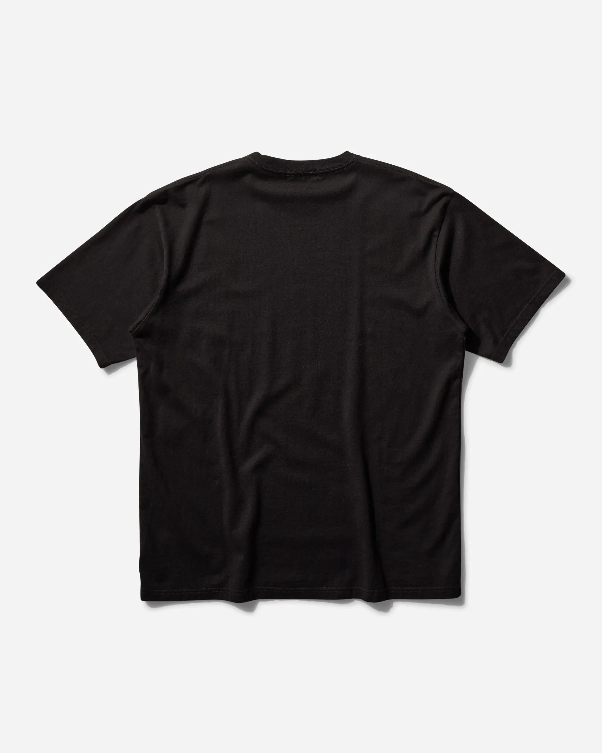 T-shirt Signature Ours en Peluche Homme Noir