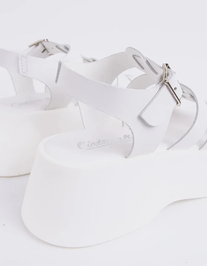 Cuir blanc confiant