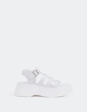 Cuir blanc confiant