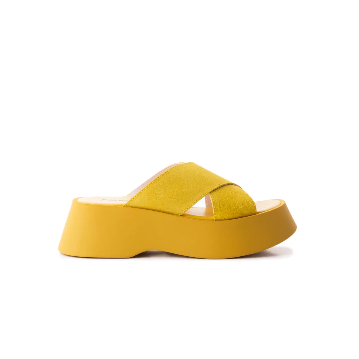Hai Suède Jaune