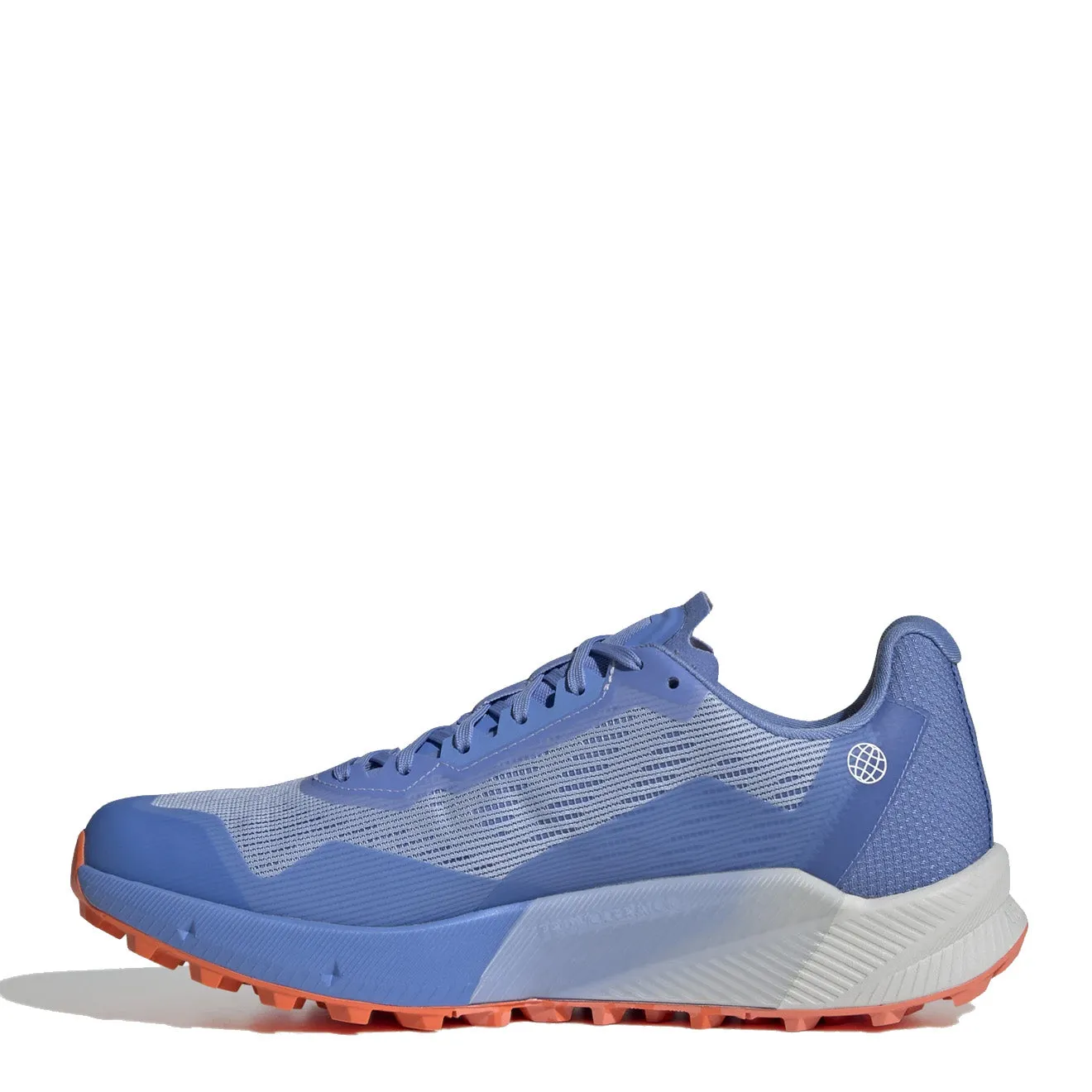 Chaussures Adidas Terrex Homme Adidas Terrex Agravic Flox 2 Gore-Tex Bludaw / Blufus / Impora