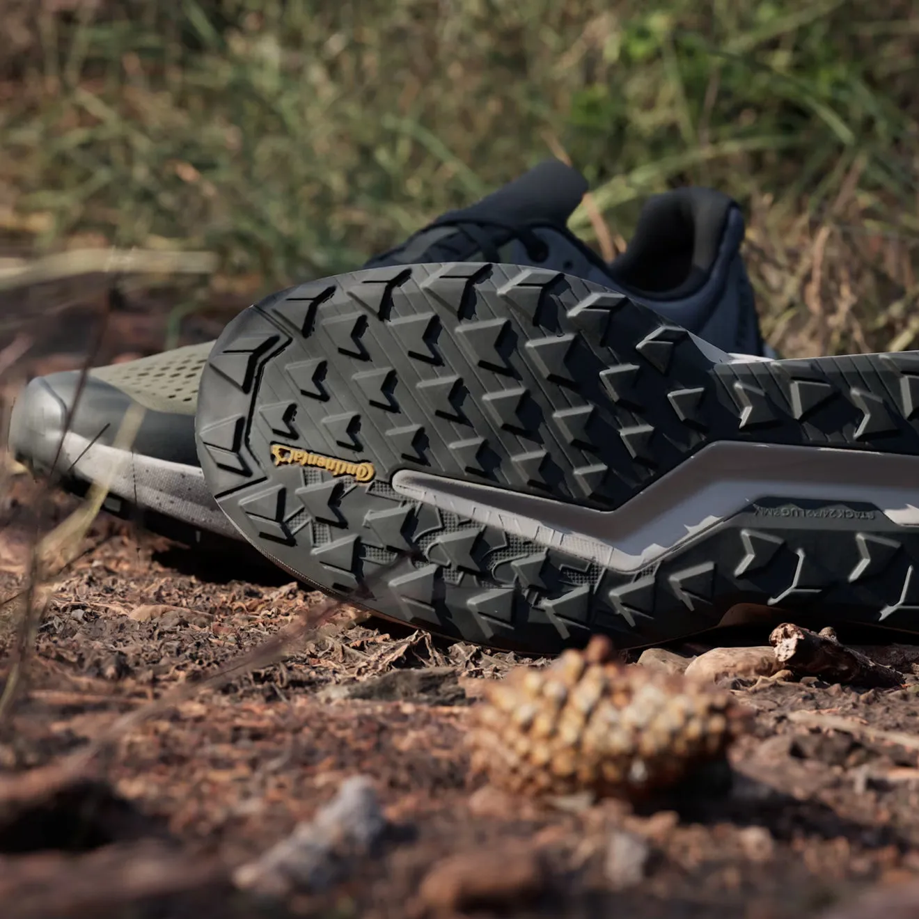 Chaussures Adidas Terrex Homme Adidas Terrex Soulstride Flow Chaussure de Trail Running Vert Strata / Beige Wonder / Charbon