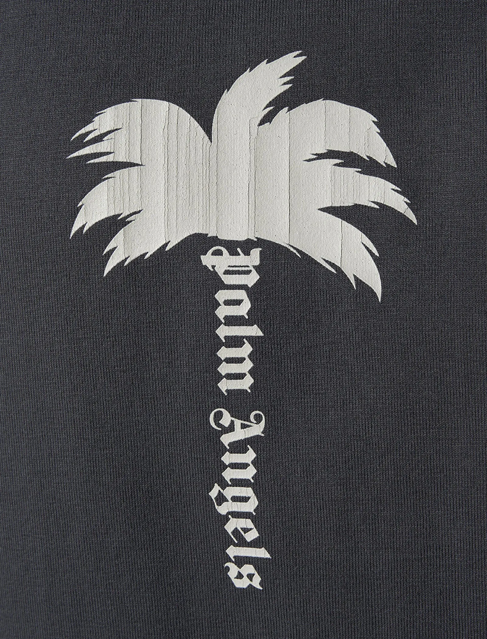 LE T-SHIRT PALM GD